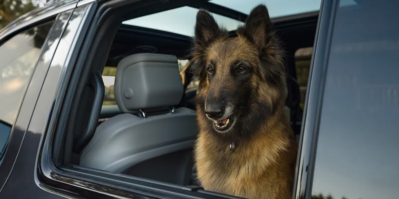 Jeep Grand Wagoneer pet-friendly interior